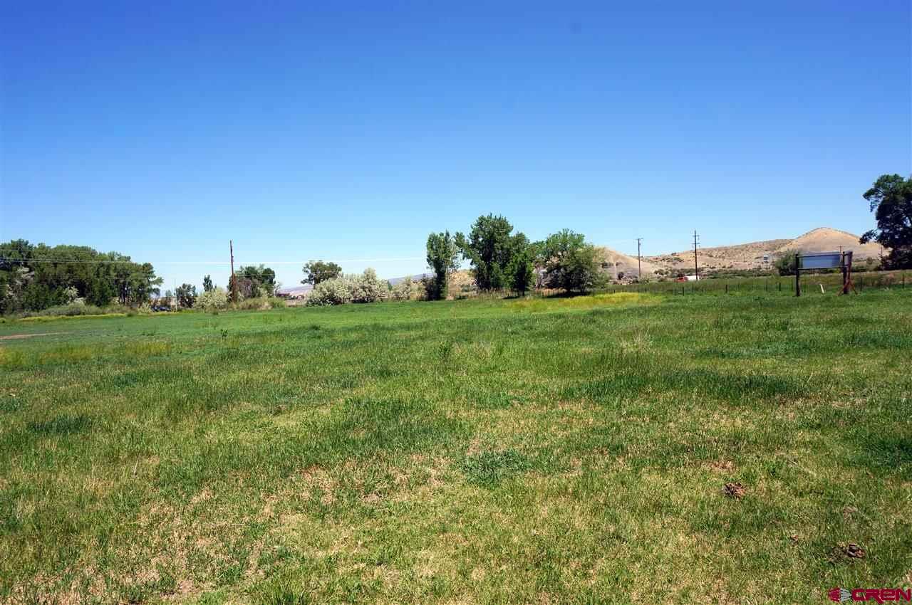 Tbd South Highway 550 & Otter Road Montrose, CO 81401 - Photo 27 of 30 a view of a field with grass and trees