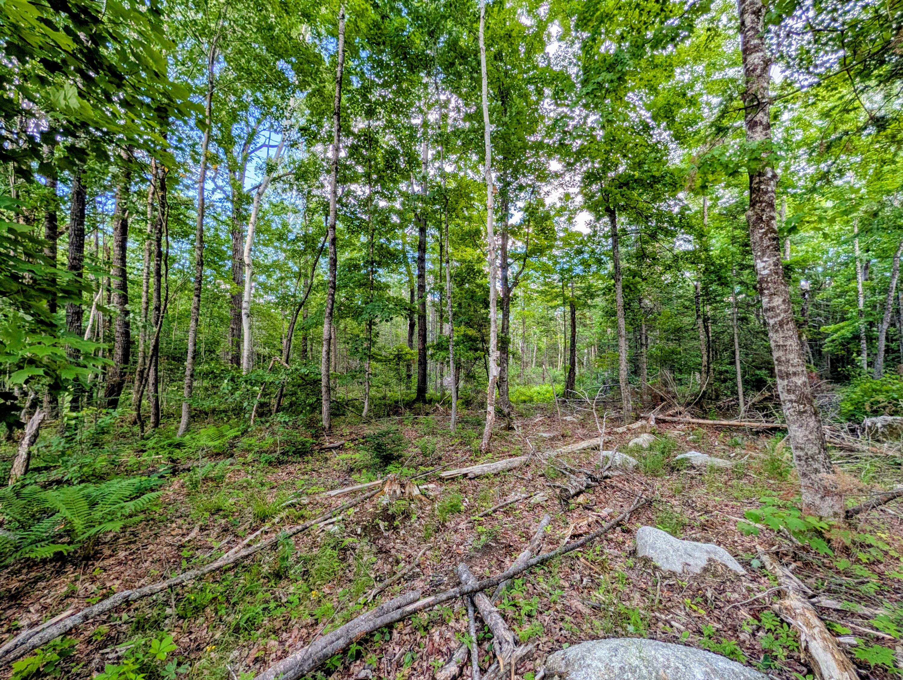 147 Calvin Gray Road Madrid Township, ME 04966 - Photo 65 of 68 147 Calvin Gray Road