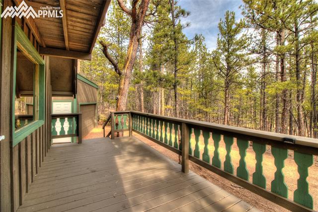 94 Pickens Road Florissant, CO 80816 - Photo 5 of 22
