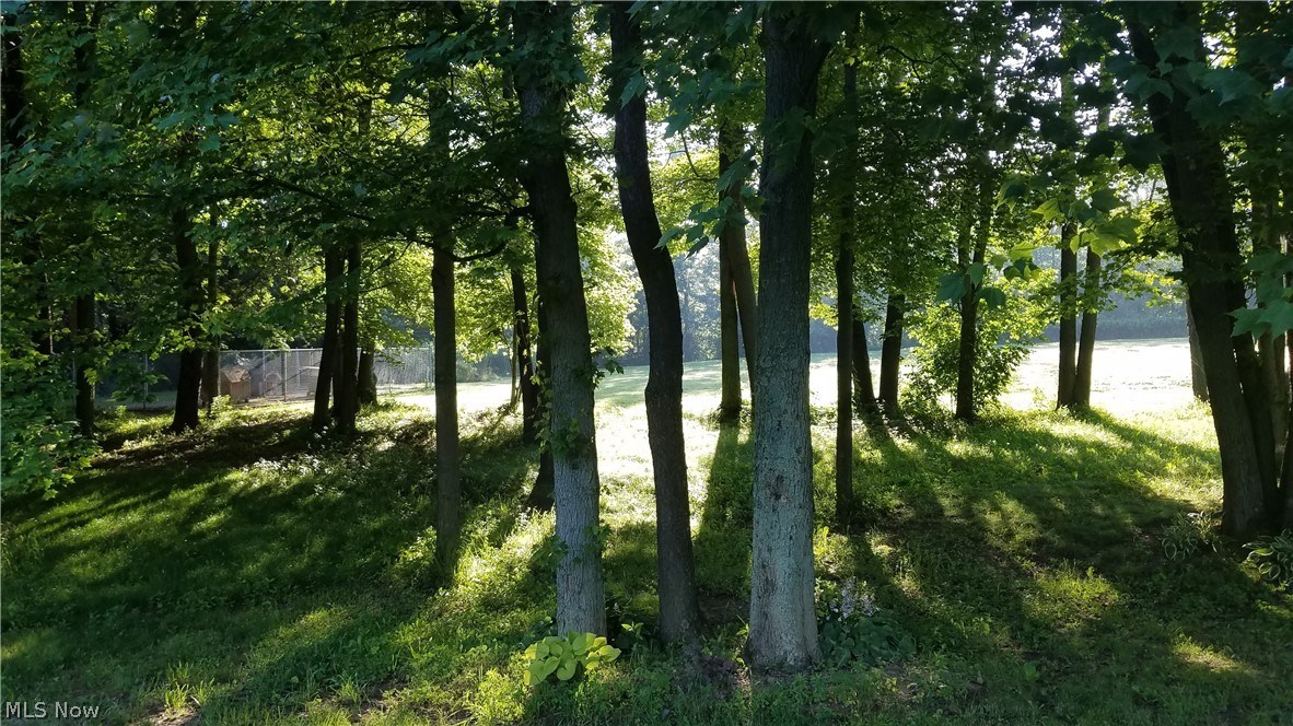 2220 Secrest Road Wooster, OH 44691 - Photo 11 of 34