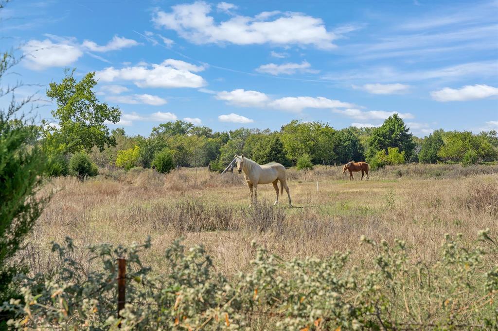 337 County Road 2719 Mabank, TX 75147 - Photo 16 of 19 a view of lake with a yard