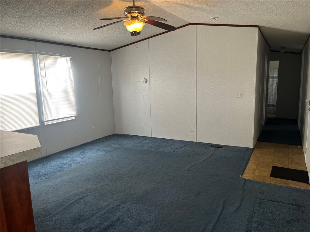 388 County Road 1341 Alice, TX 78332 - Photo 5 of 21