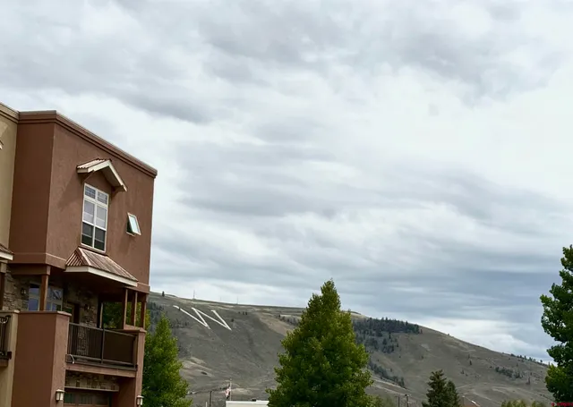 a view of a field with trees