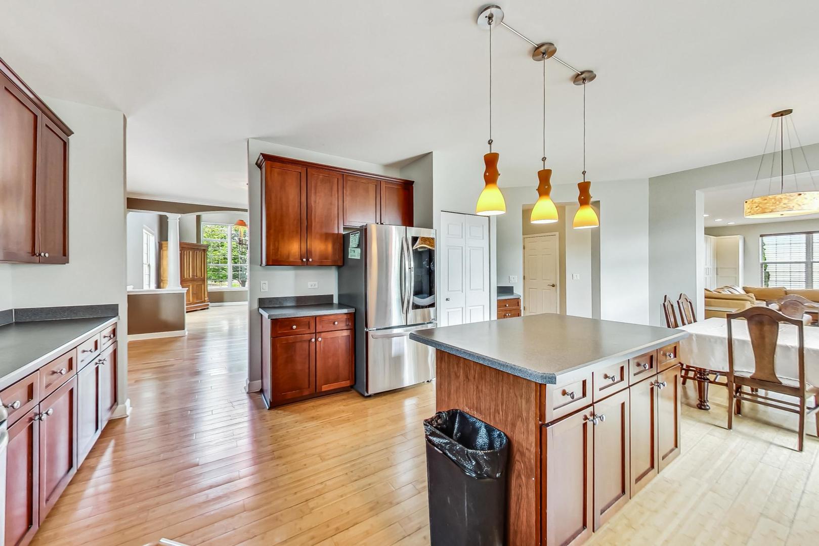 1791 Prairie Ridge Circle Lindenhurst, IL 60046 - Photo 9 of 46