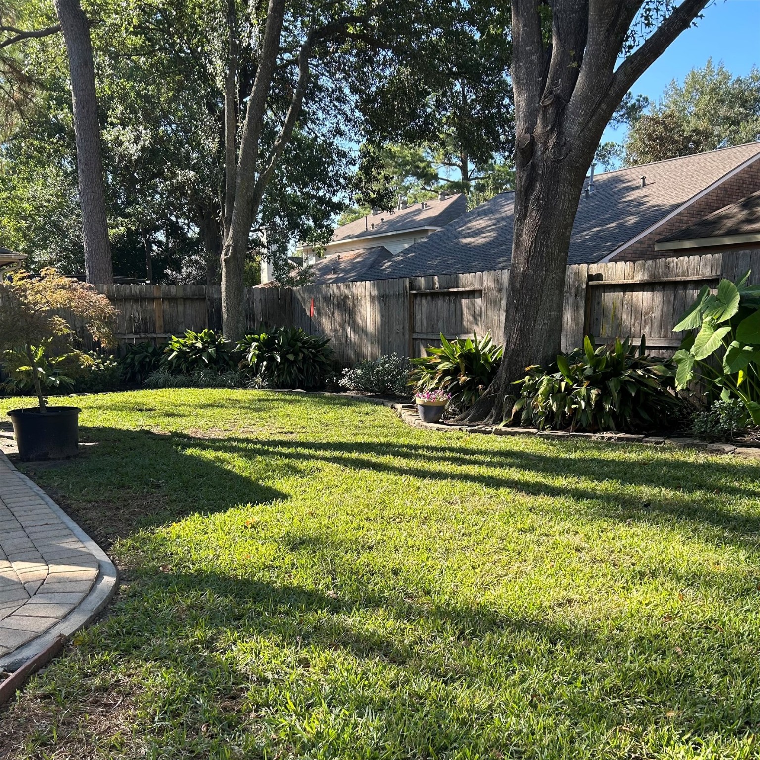 8910 Driftstone Drive Spring, TX 77379 - Photo 18 of 20 a view of a house in big yard with large trees