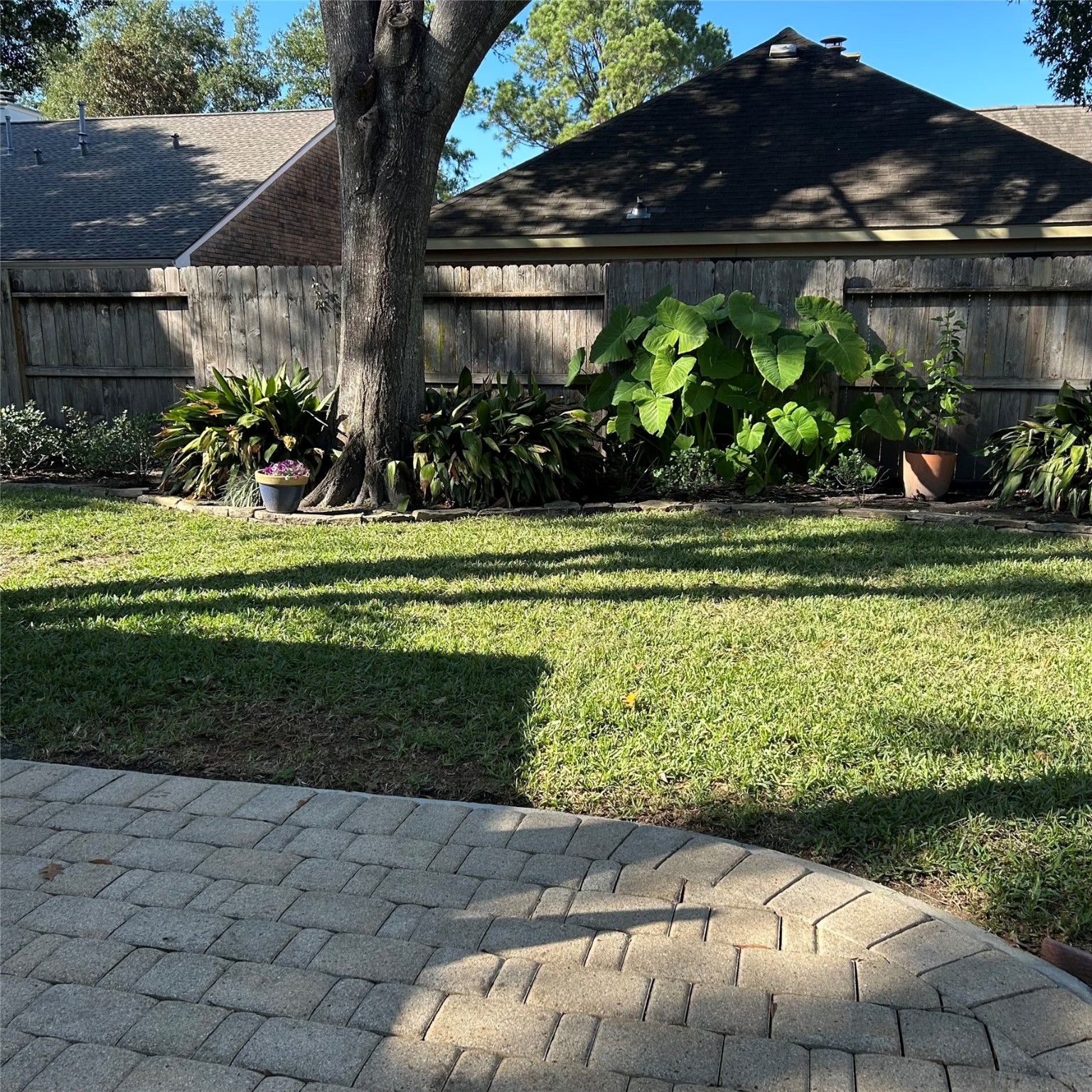 8910 Driftstone Drive Spring, TX 77379 - Photo 19 of 20 a view of a backyard with plants and a garden