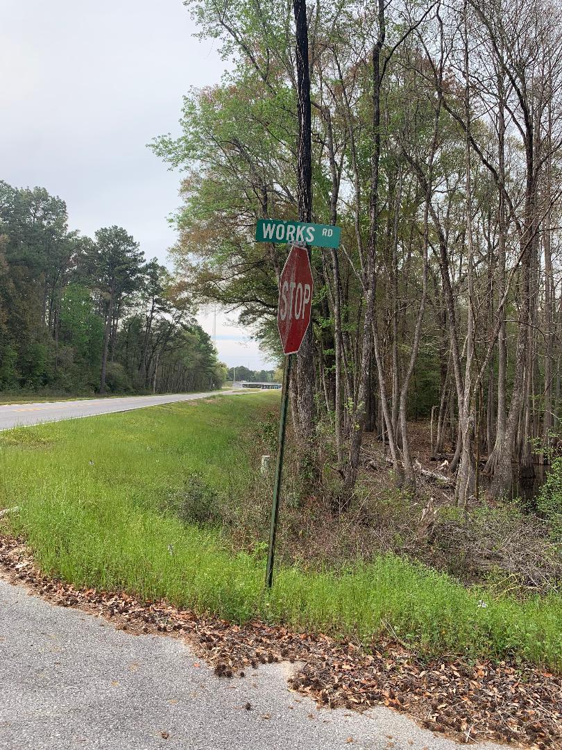a view of a park with large trees