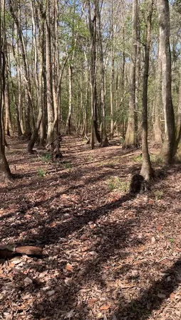 $73,900 | Xxx Works Road, Caryville, FL 32427