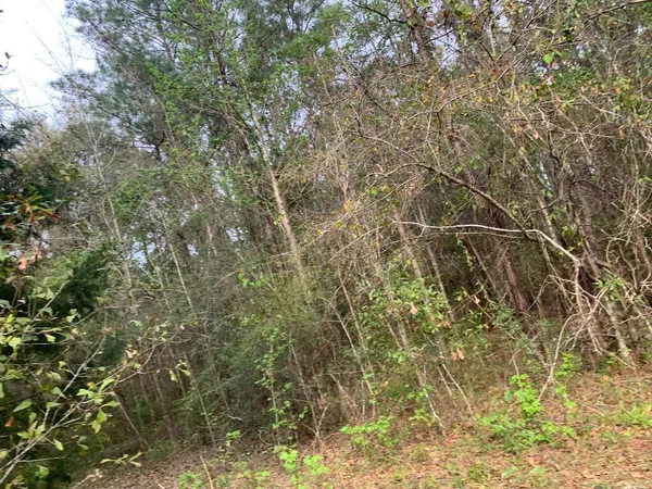 $73,900 | Xxx Works Road, Caryville, FL 32427