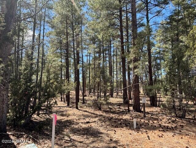 2520 South Pinegrass Road Show Low, AZ 85901 - Photo 2 of 7
