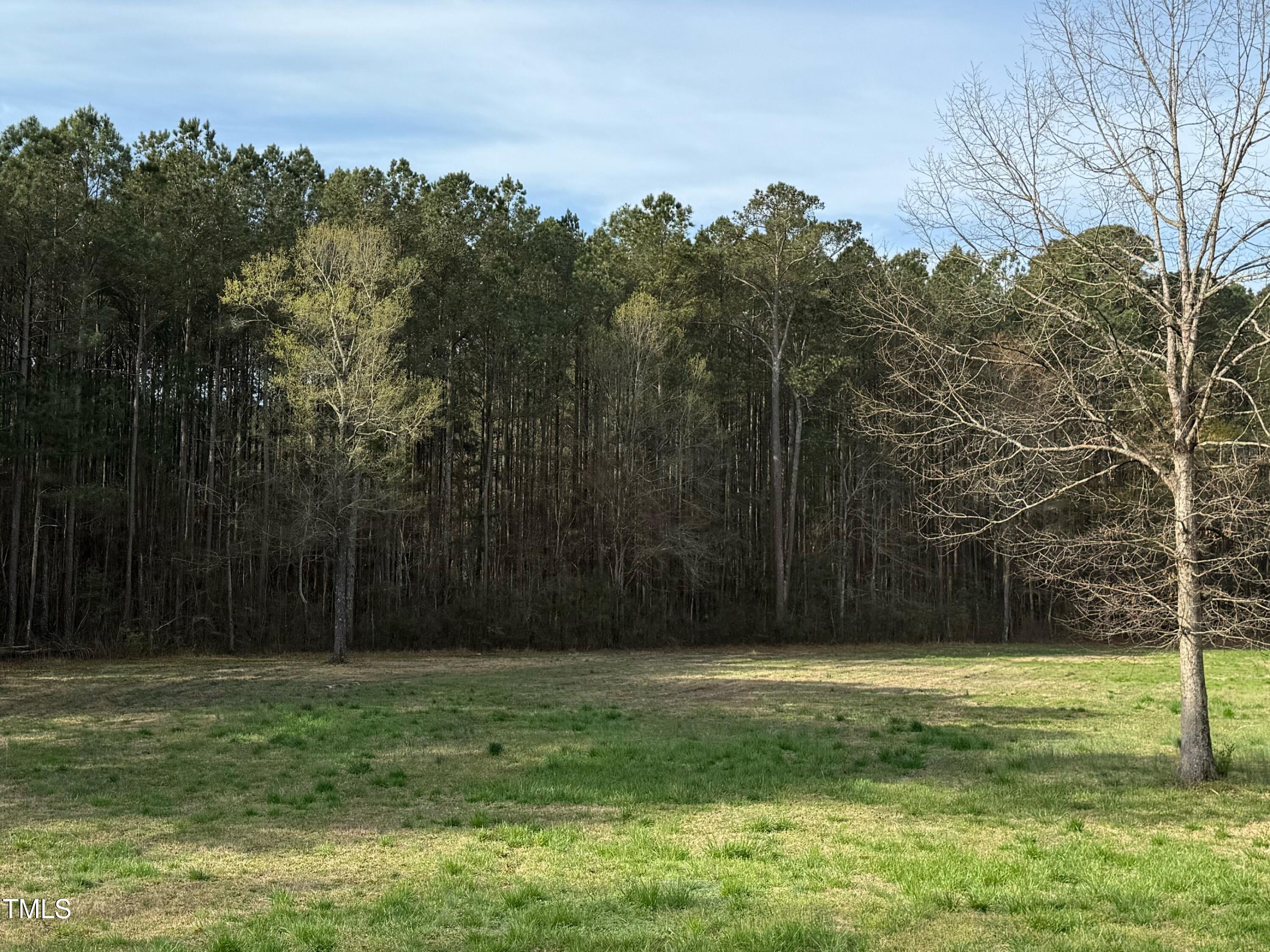 0 Rock Pillar Road Clayton, NC 27520 - Photo 2 of 6 13DF1193-C058-4788-9495-22247E385B1B