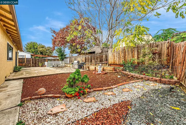 a view of a yard with plants and trees