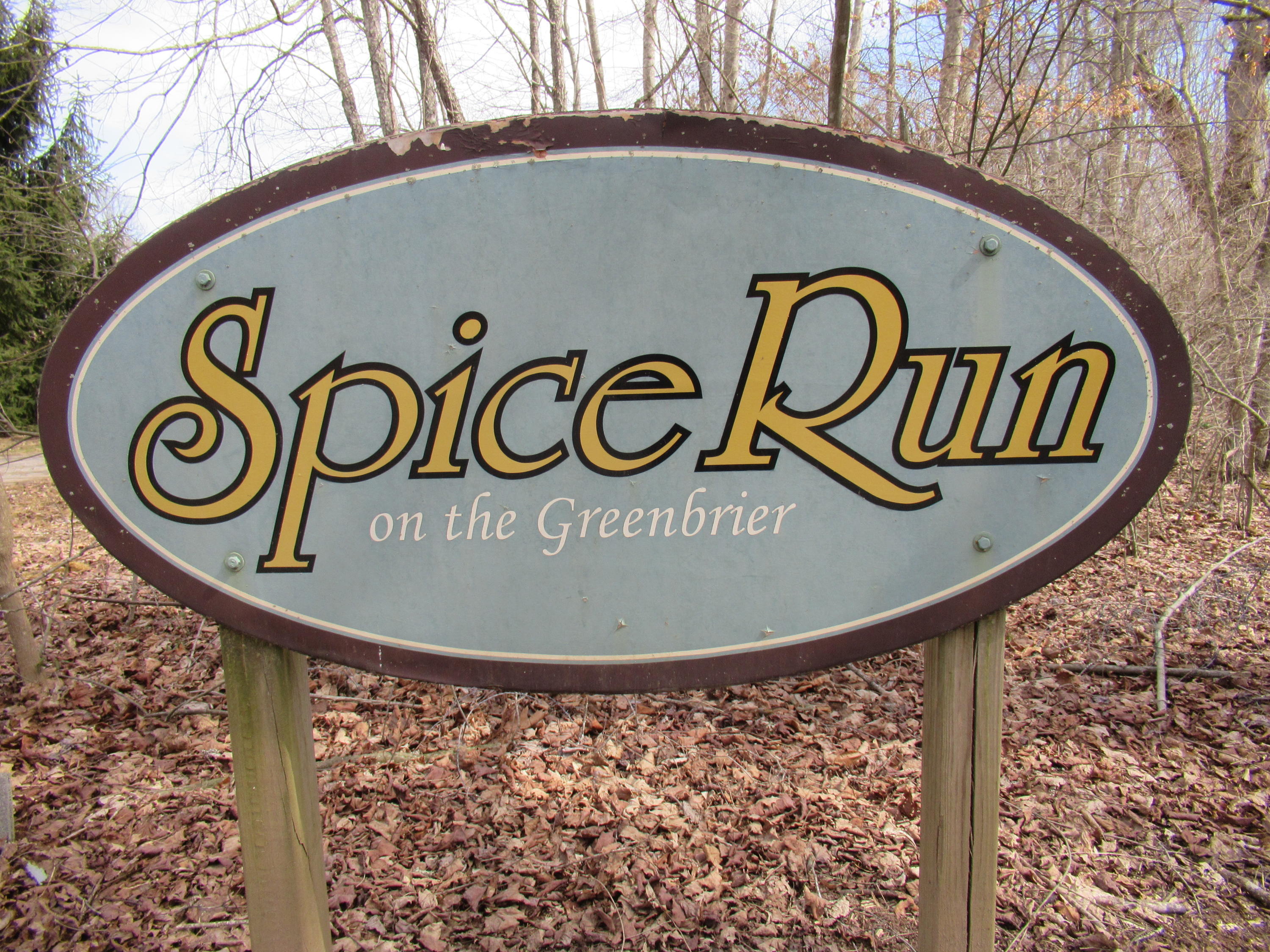 Lot 1 Spice Run Road Hillsboro, WV 24946 - Photo 2 of 13 Gallery Image 2