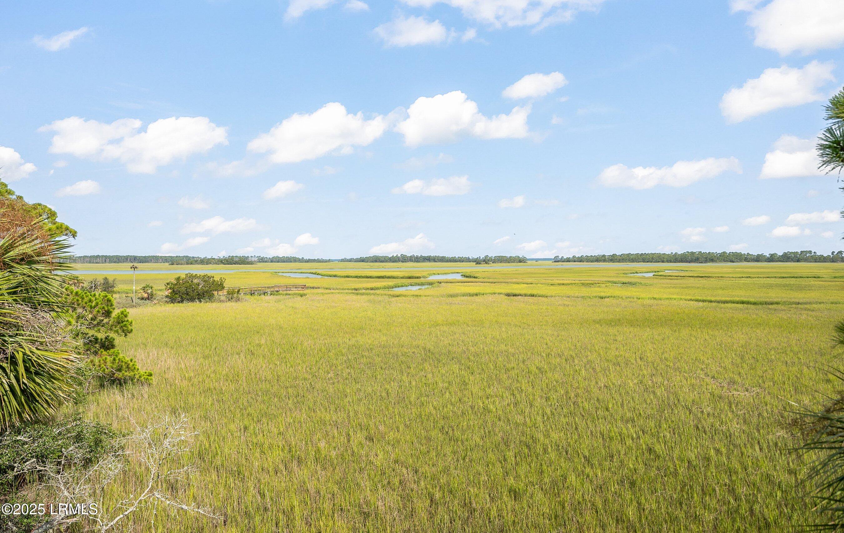 913 Marsh Dunes Road Fripp Island, SC 29920 - Photo 4 of 63 DSC05894-298.jpg-SMALL