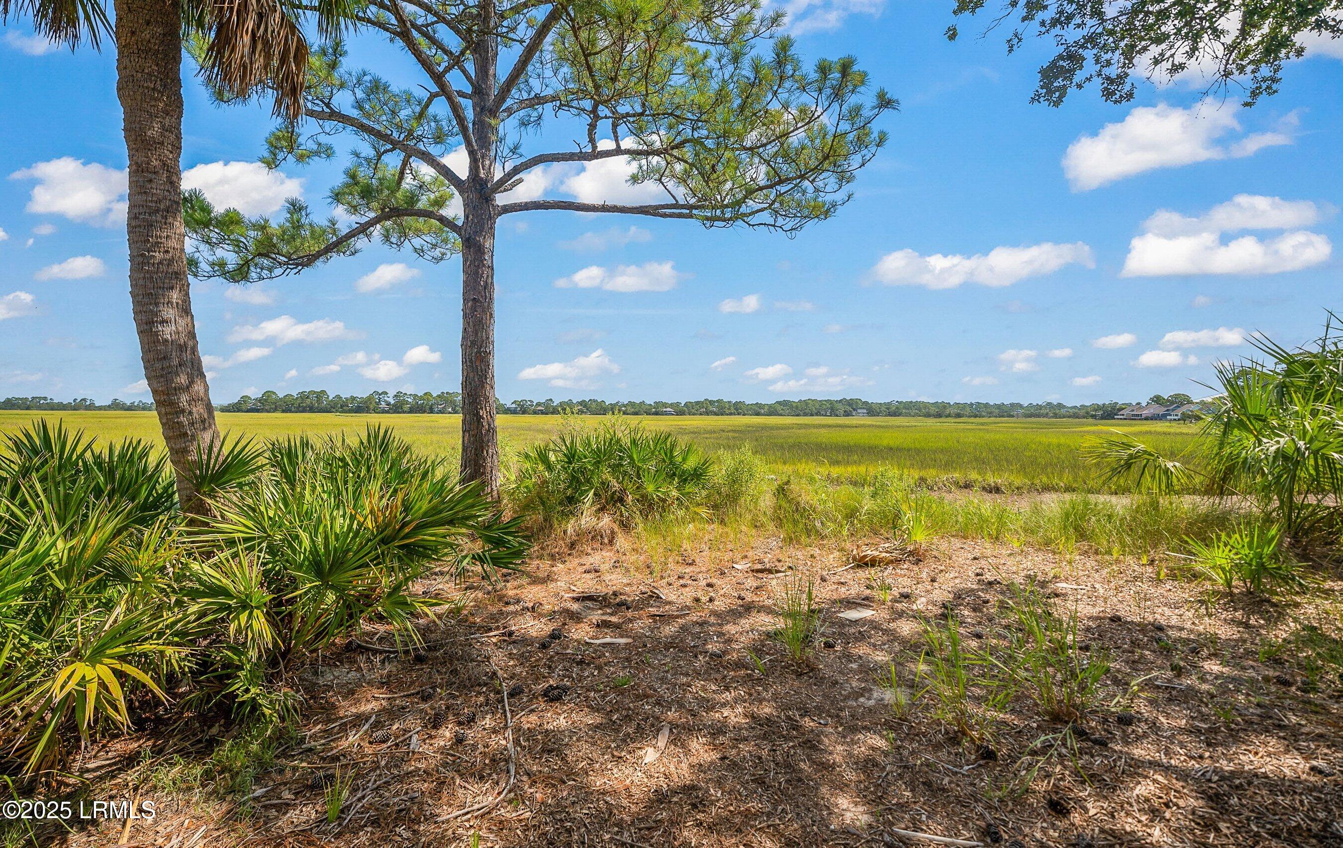 913 Marsh Dunes Road Fripp Island, SC 29920 - Photo 54 of 63 DSC05919-323.jpg-SMALL