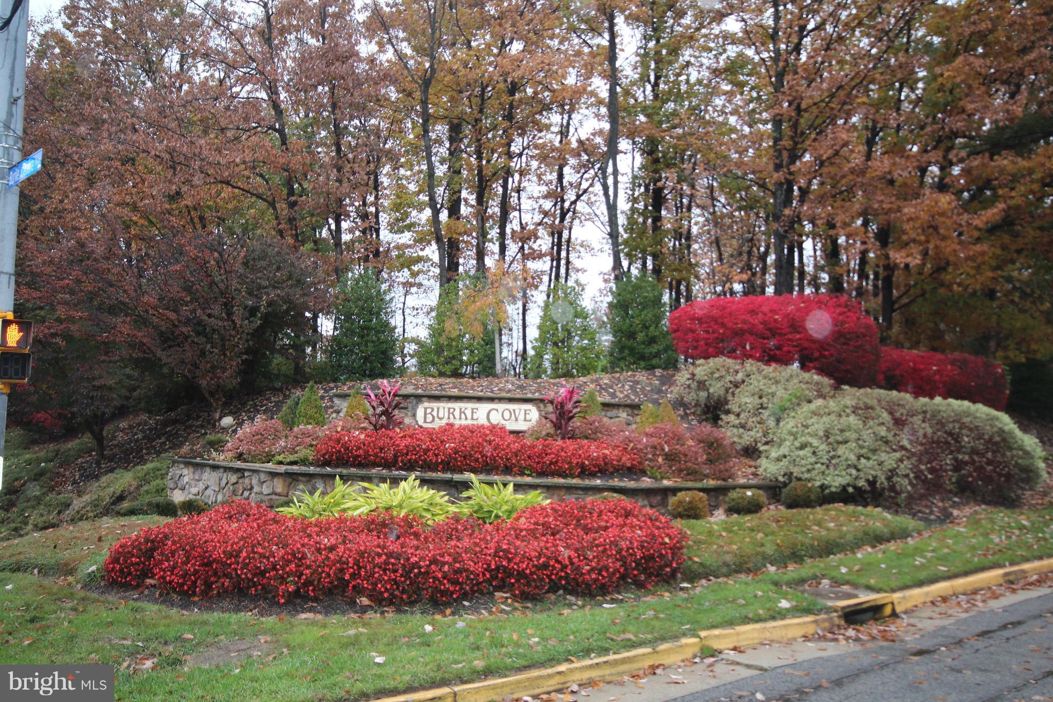 5906 Cove Landing Road, Unit 301 Burke, VA 22015 - Photo 2 of 51 Community
