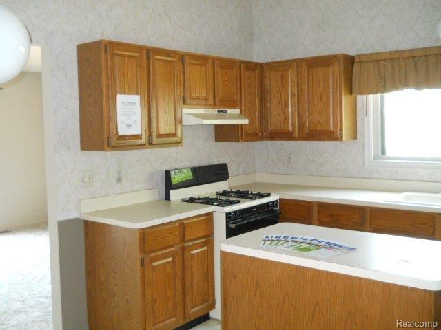 1959 Grace Avenue Rochester, MI 48309 - Photo 6 of 17 DSCN9063.JPG