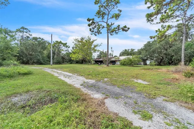 a view of a grassy field with trees in the background