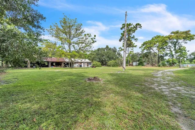 a view of a park with large trees