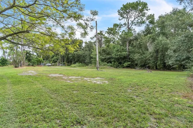 a view of a field with trees in the background