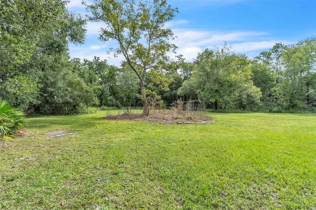 a view of a garden with a tree