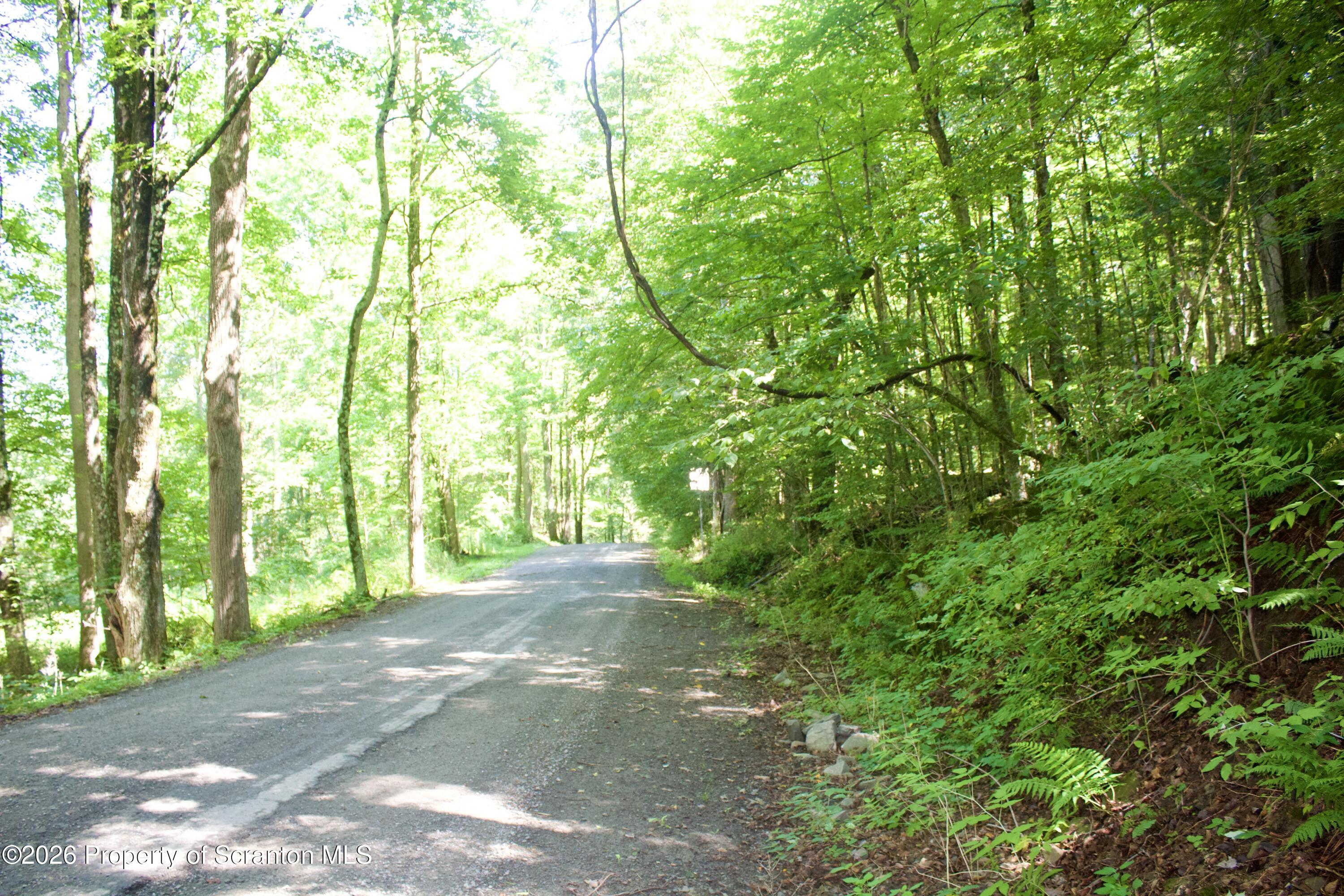 2000 Belcher Road Union Dale, PA 18470 - Photo 12 of 28 IMG_4644