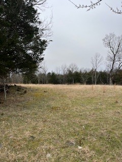 9910 Patterson Road Rockvale, TN 37153 - Photo 12 of 16 Gallery Image 12
