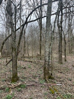 9910 Patterson Road Rockvale, TN 37153 - Photo 2 of 16 Gallery Image 2