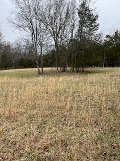9910 Patterson Road Rockvale, TN 37153 - Photo 7 of 16 Gallery Image 7