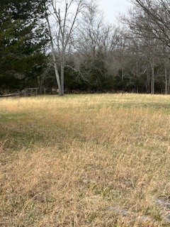 9910 Patterson Road Rockvale, TN 37153 - Photo 8 of 16 Gallery Image 8