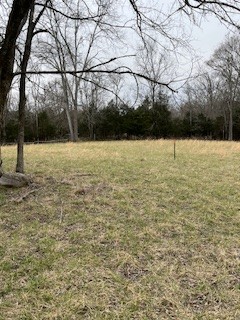 9910 Patterson Road Rockvale, TN 37153 - Photo 9 of 16 Gallery Image 9
