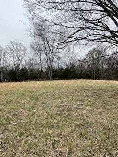 9910 Patterson Road Rockvale, TN 37153 - Photo 10 of 16 Gallery Image 10