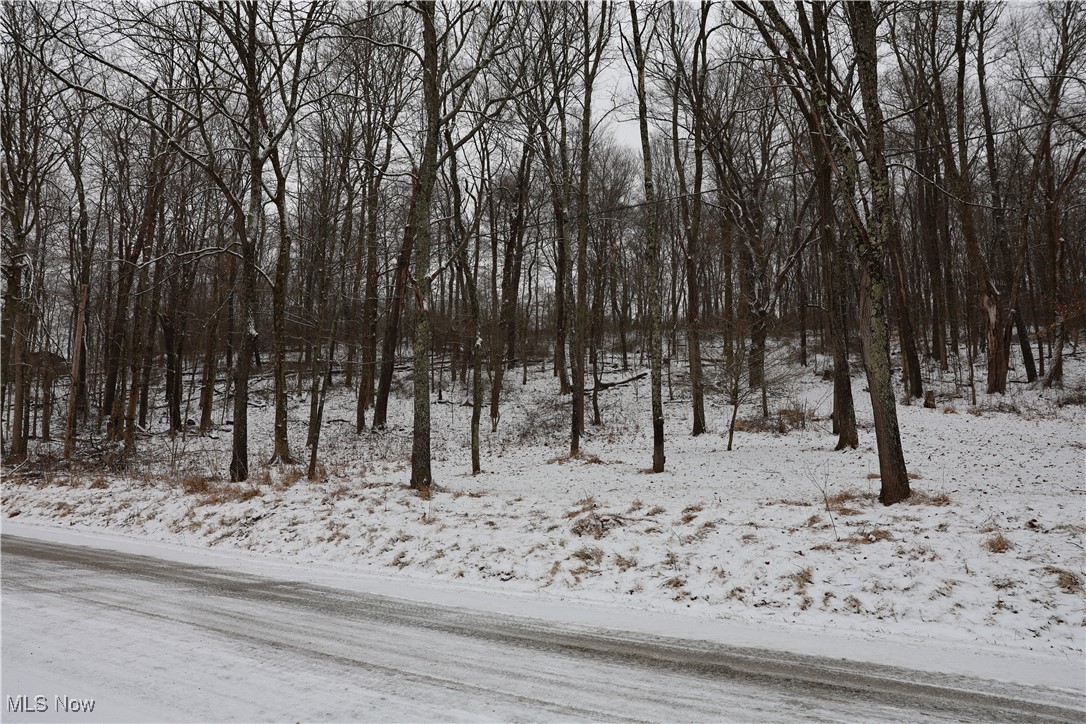 402 County Road Warsaw, OH 43844 - Photo 1 of 19 View of yard covered in snow