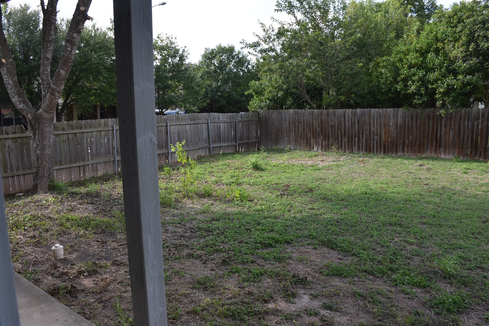 11300 Dimmit Street Manor, TX 78653 - Photo 22 of 23 A spacious backyard enclosed by a sturdy privacy fence, ready for personalized landscaping.