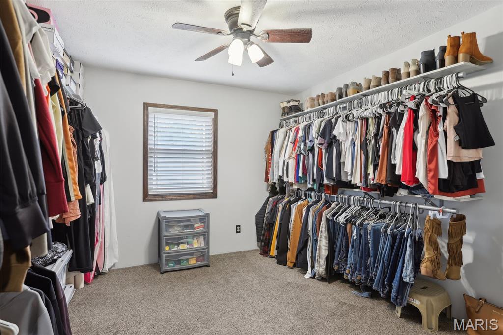 688 Donnell Avenue Donnellson, IL 62019 - Photo 20 of 46