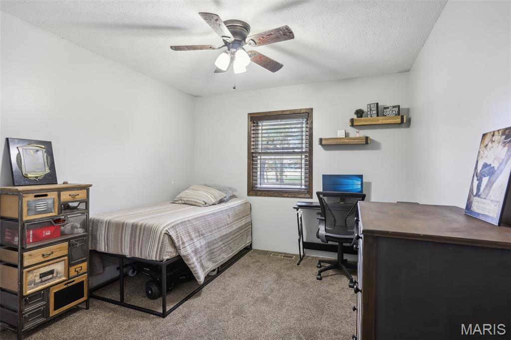 688 Donnell Avenue Donnellson, IL 62019 - Photo 22 of 46