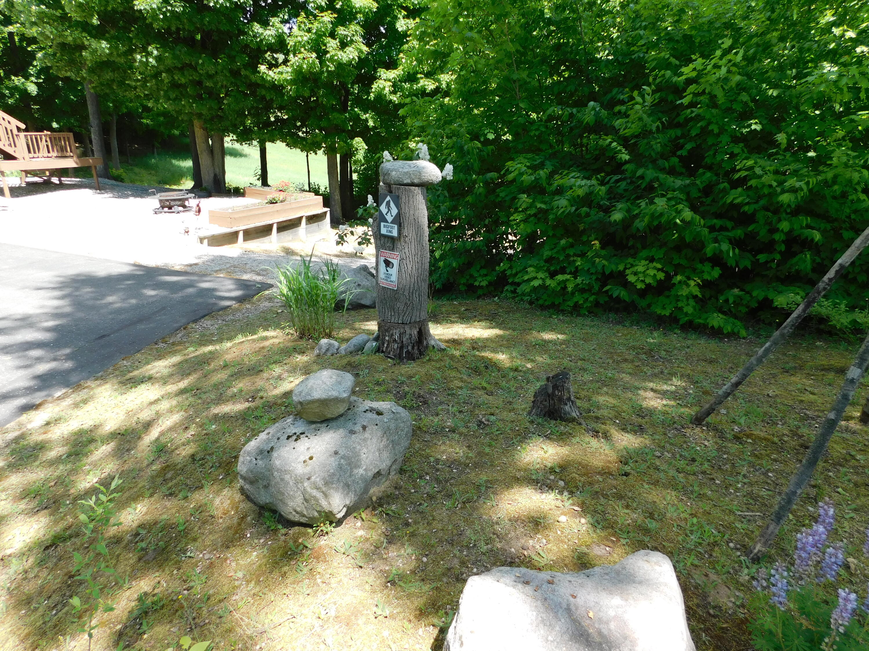 10653 Milarch Road Bear Lake, MI 49614 - Photo 13 of 86 DSCN2056
