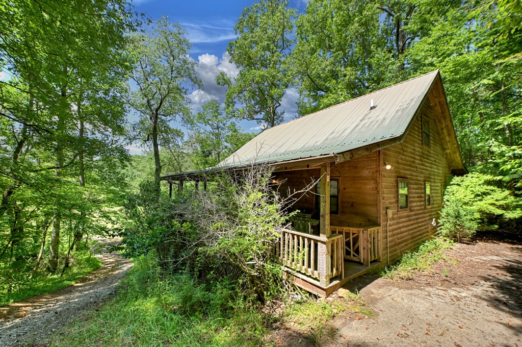 28.65 Jolley Way Epworth, GA 30541 - Photo 28 of 55 a view of outdoor space and yard