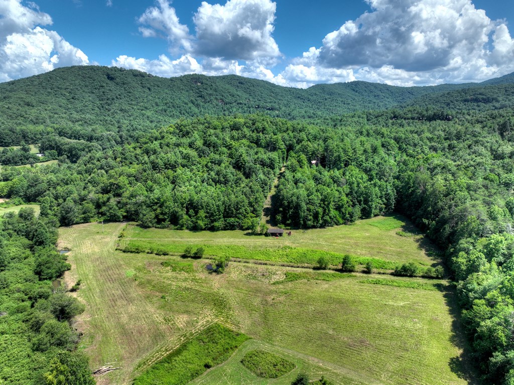 28.65 Jolley Way Epworth, GA 30541 - Photo 3 of 55 a view of a lush green field