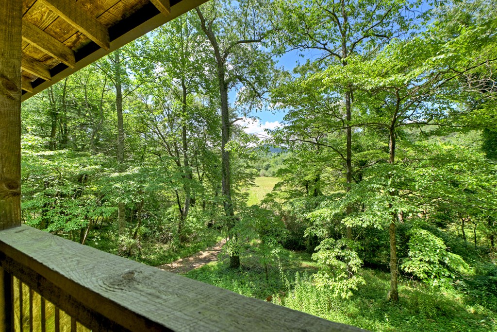 28.65 Jolley Way Epworth, GA 30541 - Photo 31 of 55 a view of a garden from a balcony