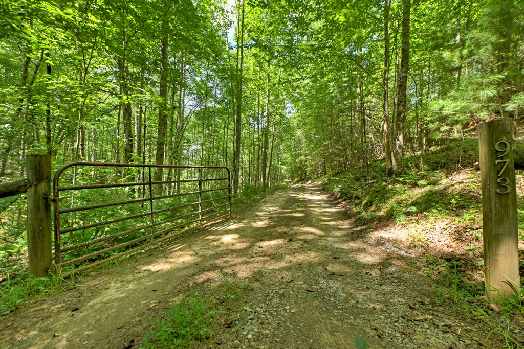 28.65 Jolley Way Epworth, GA 30541 - Photo 33 of 55 a view of a yard with plants and large trees