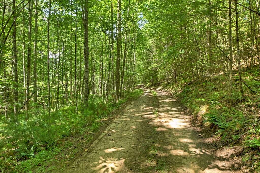 28.65 Jolley Way Epworth, GA 30541 - Photo 34 of 55 a view of a yard