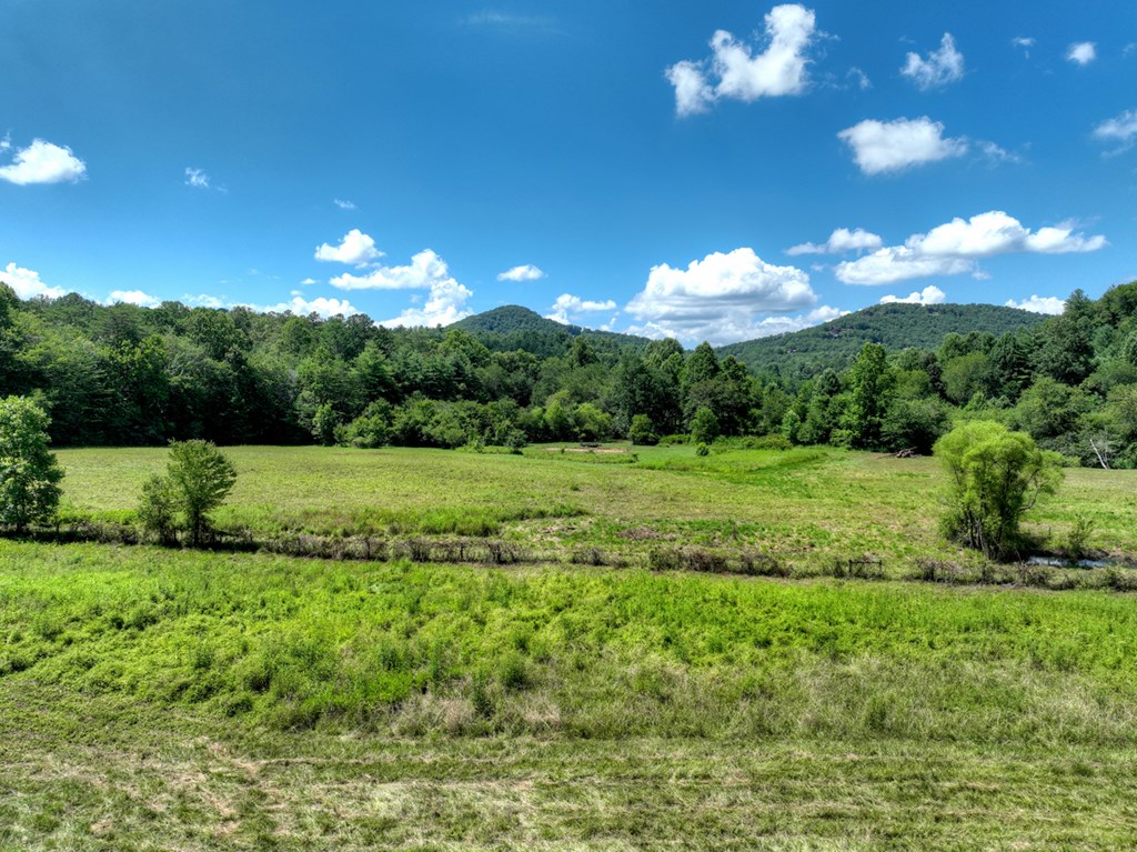 28.65 Jolley Way Epworth, GA 30541 - Photo 35 of 55 a view of a big yard with potted plants and large tree