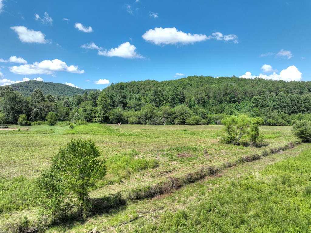 28.65 Jolley Way Epworth, GA 30541 - Photo 37 of 55 a view of a green field
