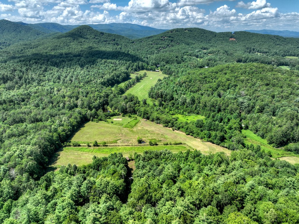 28.65 Jolley Way Epworth, GA 30541 - Photo 40 of 55 a view of a green yard with lots of green space