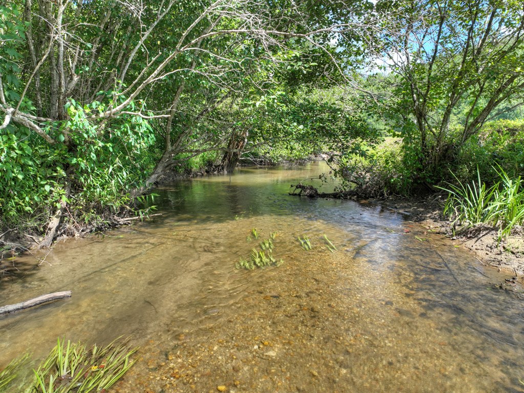 28.65 Jolley Way Epworth, GA 30541 - Photo 4 of 55 a view of a lake with a green space