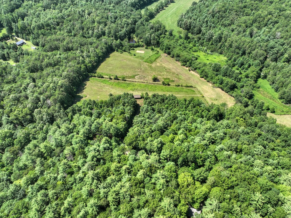 28.65 Jolley Way Epworth, GA 30541 - Photo 42 of 55 a view of a garden with a tree