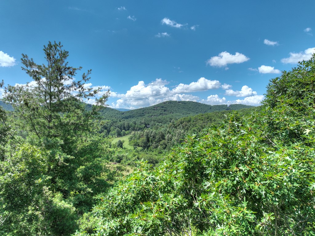 28.65 Jolley Way Epworth, GA 30541 - Photo 43 of 55 a view of a flower in a garden