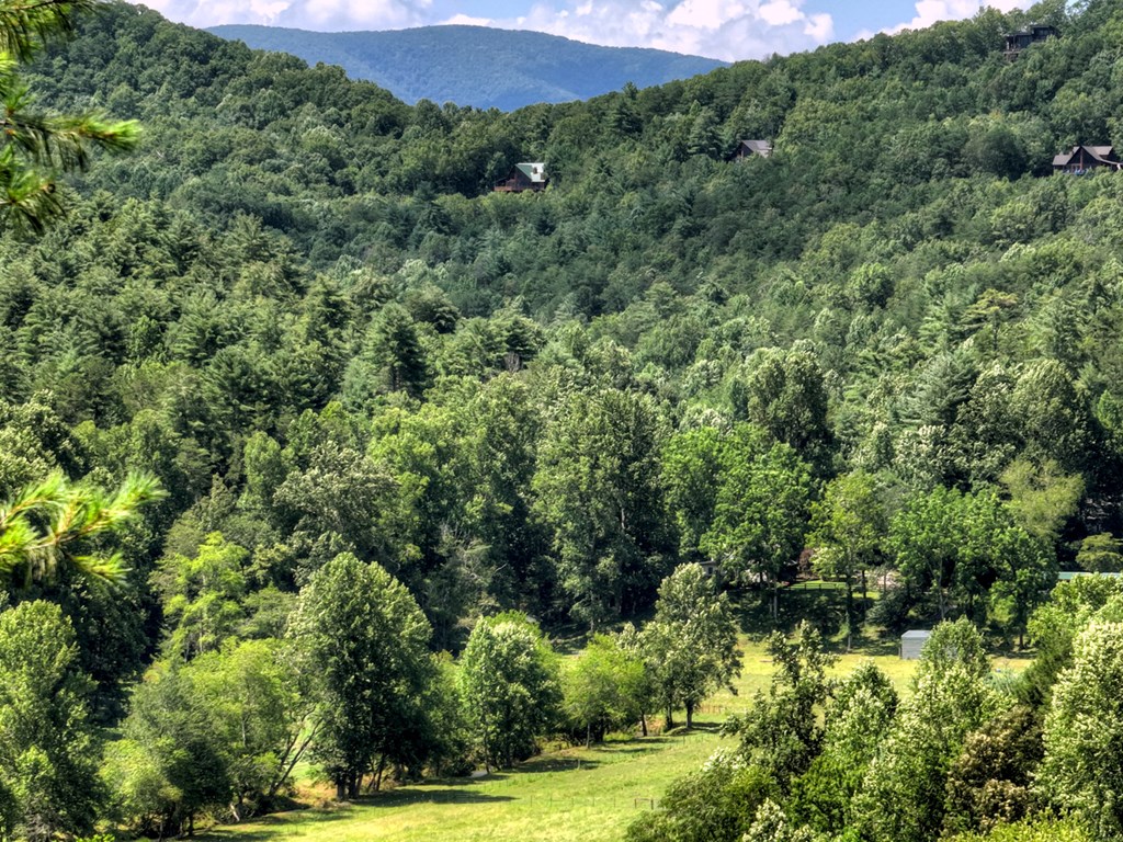 28.65 Jolley Way Epworth, GA 30541 - Photo 44 of 55 a view of a lush green forest with a park