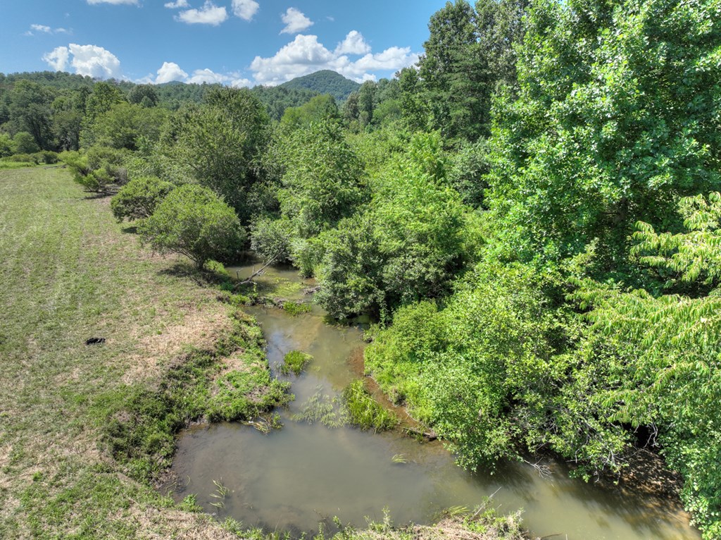 28.65 Jolley Way Epworth, GA 30541 - Photo 45 of 55 a view of a lake with a house in the background